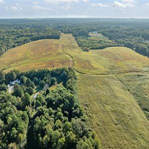 Photo #13 of 9135 US Highway 220, Randleman, NC 284.9 acres