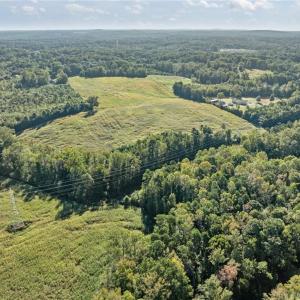 Photo #17 of 9135 US Highway 220, Randleman, NC 284.9 acres