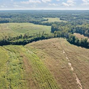 Photo #16 of 9135 US Highway 220, Randleman, NC 284.9 acres