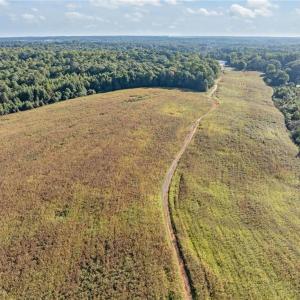 Photo #12 of 9135 US Highway 220, Randleman, NC 284.9 acres