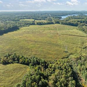 Photo #14 of 9135 US Highway 220, Randleman, NC 284.9 acres