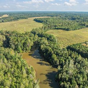 Photo #19 of 9135 US Highway 220, Randleman, NC 284.9 acres