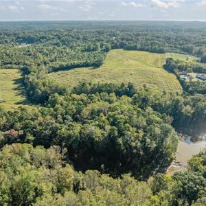 Photo #21 of 9135 US Highway 220, Randleman, NC 284.9 acres