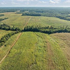 Photo #2 of 9135 US Highway 220, Randleman, NC 284.9 acres