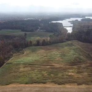 Photo #6 of 9135 US Highway 220, Randleman, NC 284.9 acres