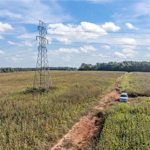 Photo #22 of 9135 US Highway 220, Randleman, NC 284.9 acres