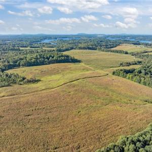 Photo #1 of 9135 US Highway 220, Randleman, NC 284.9 acres