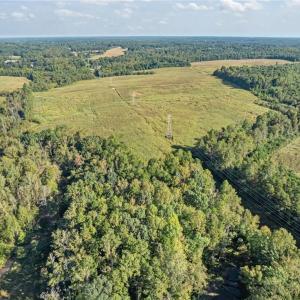 Photo #20 of 9135 US Highway 220, Randleman, NC 284.9 acres