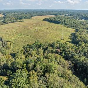 Photo #18 of 9135 US Highway 220, Randleman, NC 284.9 acres