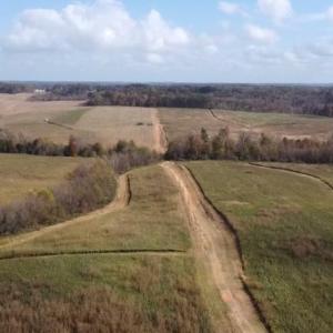 Photo #4 of 9135 US Highway 220, Randleman, NC 284.9 acres