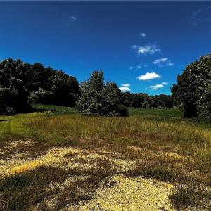 1+ acre lot with septic - corners are marked with stakes with red survey flags.