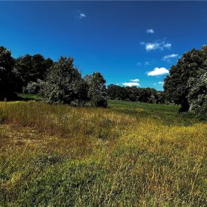 gentle slope with views of Hanging Rock Mt.