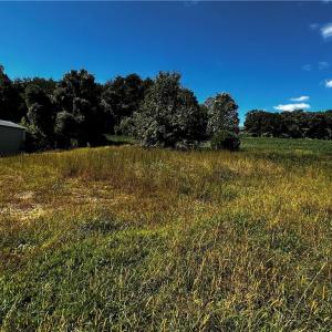 Metal building is on neighbors property