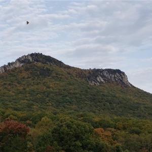 Photo #13 of Reid, King, NC 36.0 acres