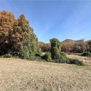 Photo #21 of Reid, King, NC 36.0 acres