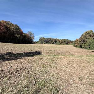 Photo #22 of Reid, King, NC 36.0 acres