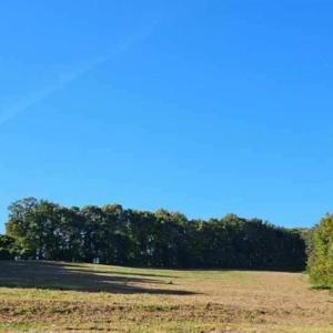 Photo #7 of Reid, King, NC 36.0 acres