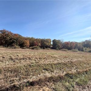 Photo #5 of Reid, King, NC 36.0 acres