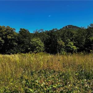 East Side of acreage is level - potential pasture or