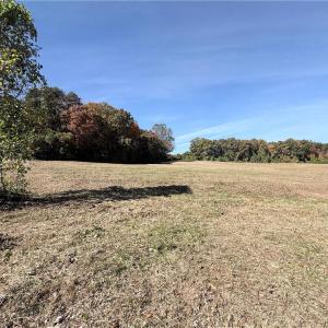 Photo #18 of Reid, King, NC 36.0 acres