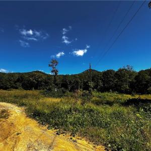 Acreage on both sides of Reid Rd - private road