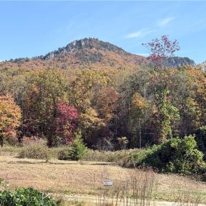 Photo #27 of Reid, King, NC 36.0 acres