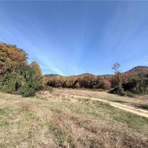 Photo #26 of Reid, King, NC 36.0 acres
