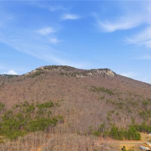 Photo #22 of Reid, King, NC 36.0 acres