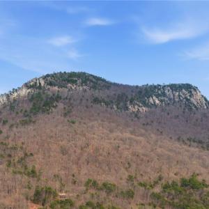 Photo #1 of Reid, King, NC 36.0 acres
