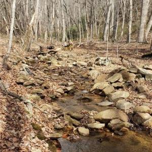 Photo #10 of Reid, King, NC 36.0 acres