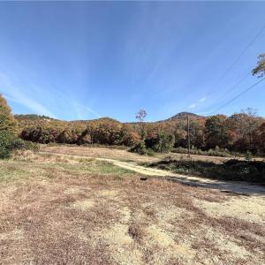 Photo #33 of Reid, King, NC 36.0 acres