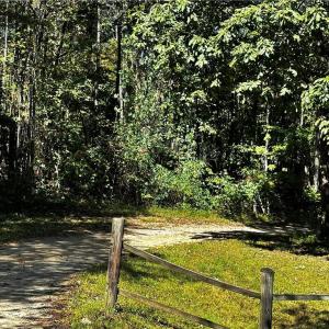 Easement from Covington to the property.