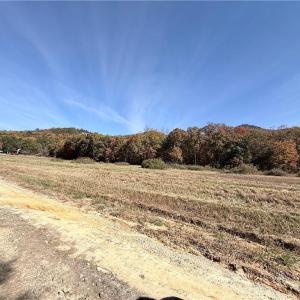 Photo #21 of Reid, King, NC 36.0 acres