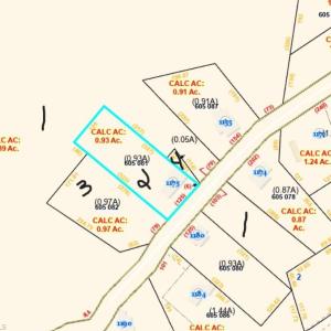 Zoomed in smaller lots