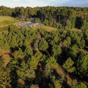 Photo #6 of 1175 McCoy Farm, Salisbury, NC 46.0 acres