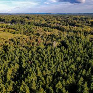 Photo #12 of 1175 McCoy Farm, Salisbury, NC 46.0 acres