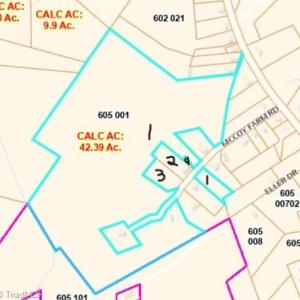Large lot with smaller lots