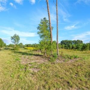 Photo #20 of 1175 McCoy Farm, Salisbury, NC 46.0 acres