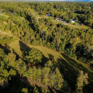 Photo #10 of 1175 McCoy Farm, Salisbury, NC 46.0 acres