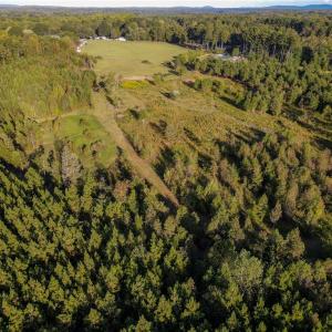 Photo #11 of 1175 McCoy Farm, Salisbury, NC 46.0 acres