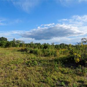 Photo #19 of 1175 McCoy Farm, Salisbury, NC 46.0 acres