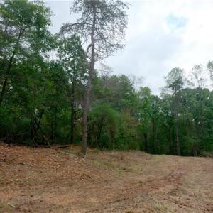 Photo #23 of 1580 Seven Island, Danbury, NC 39.0 acres