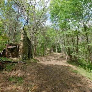 Photo #27 of 1580 Seven Island, Danbury, NC 39.0 acres