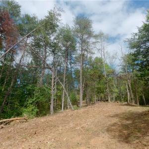Photo #32 of 1580 Seven Island, Danbury, NC 39.0 acres