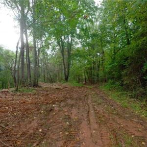 Photo #20 of 1580 Seven Island, Danbury, NC 39.0 acres