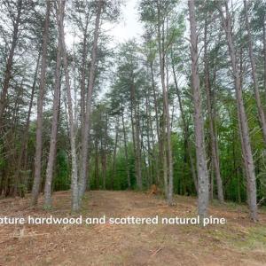 Photo #24 of 1580 Seven Island, Danbury, NC 39.0 acres