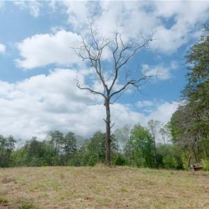 Photo #30 of 1580 Seven Island, Danbury, NC 39.0 acres