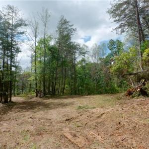 Photo #33 of 1580 Seven Island, Danbury, NC 39.0 acres