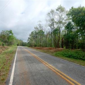 Photo #18 of 1580 Seven Island, Danbury, NC 39.0 acres