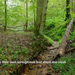 Photo #11 of 1580 Seven Island, Danbury, NC 39.0 acres